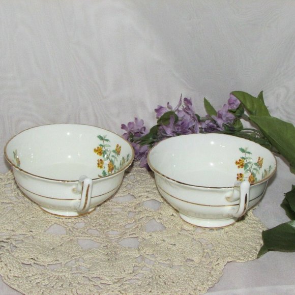 2 Antique Royal Cauldon Barberry Bone China Cottagecore Teacups no saucers - Picture 4 of 8